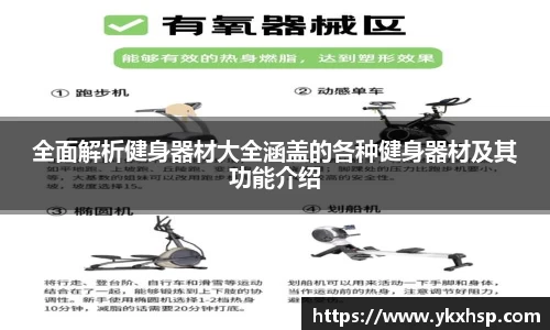 乐竟体育